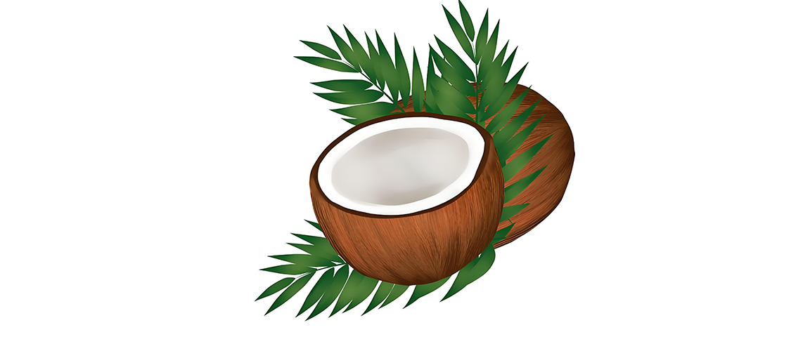 Natura Virgin Coconut Oil天然初榨椰子油